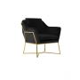 FOGGIA ARMCHAIR GOLD | BLACK FABRIC MJ11-111