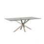 TERNI EETTAFEL | 200X100X76 CM TRANSPARANT