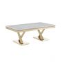 FERRARA COFFEE TABLE GOLD | 130X70X45 CM MARBLE 928